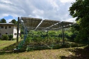 いすみ市山田、土地の画像です