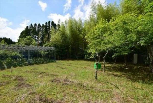 いすみ市山田、土地の画像です