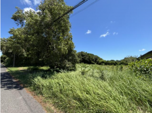 いすみ市岬町、土地の画像です