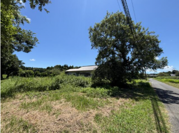 いすみ市岬町、土地の画像です