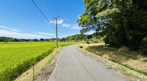 長生郡長南町報恩寺、土地の画像です