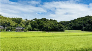 長生郡長南町報恩寺、土地の画像です