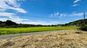 長生郡長南町報恩寺、土地の画像です