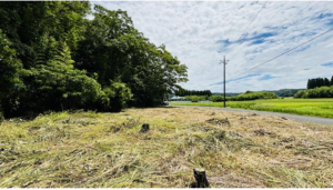長生郡長南町報恩寺、土地の画像です