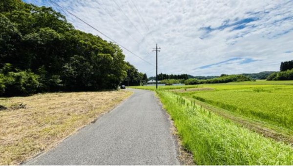 長生郡長南町報恩寺、土地の画像です