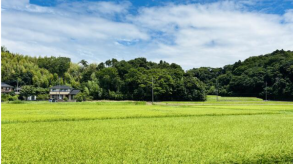 長生郡長南町報恩寺、土地の画像です