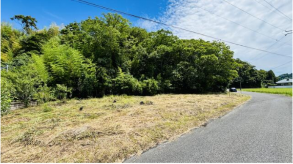 長生郡長南町報恩寺、土地の画像です