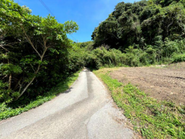 いすみ市岬町、土地の画像です