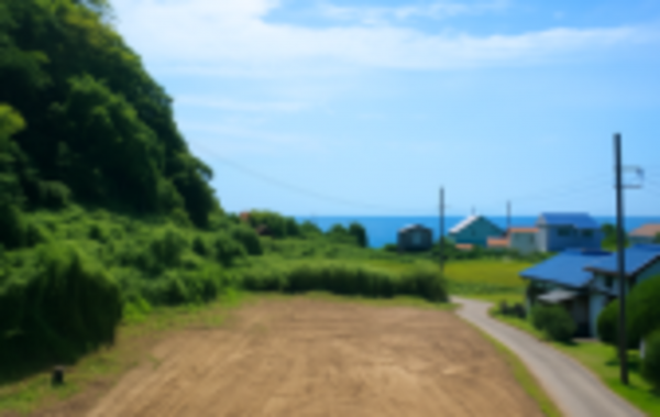 いすみ市岬町、土地の画像です