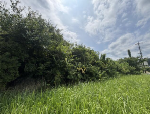 夷隅郡大多喜町田丁、土地の画像です