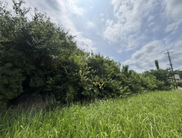 夷隅郡大多喜町田丁、土地の画像です