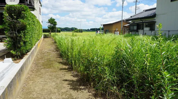 いすみ市今関、土地の画像です