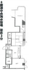 勝浦市墨名、マンションの間取り画像です