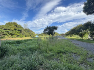 いすみ市岬町、土地の画像です