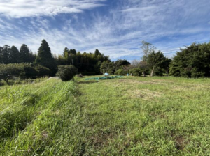 いすみ市岬町、土地の画像です