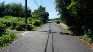 いすみ市岬町、土地の画像です