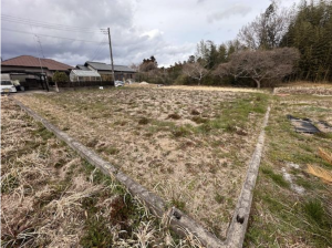 長生郡睦沢町川島、土地の画像です