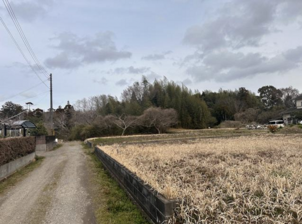 長生郡睦沢町川島、土地の画像です