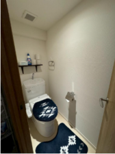 夷隅郡御宿町浜、マンションのトイレ画像です