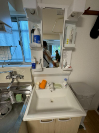 夷隅郡御宿町浜、マンションの洗面画像です