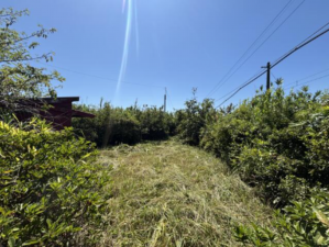 いすみ市大原、土地の外観画像です