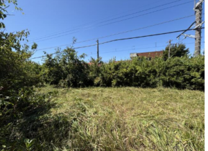 いすみ市大原、土地の外観画像です