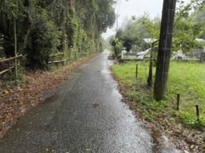 いすみ市岬町、土地の外観画像です