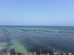 いすみ市大原、中古一戸建ての画像です