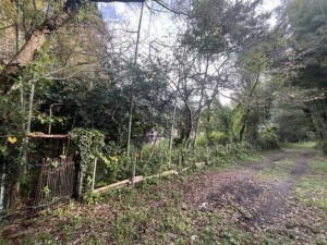 いすみ市岬町、土地の画像です