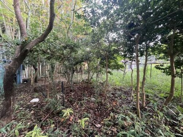 いすみ市岬町、土地の画像です