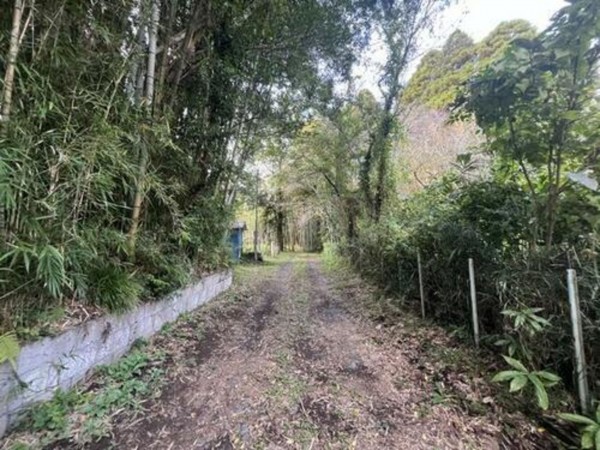 いすみ市岬町、土地の画像です