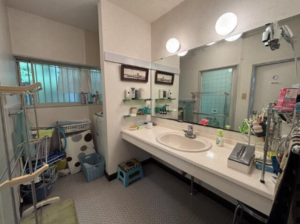 勝浦市松野、中古一戸建ての洗面画像です