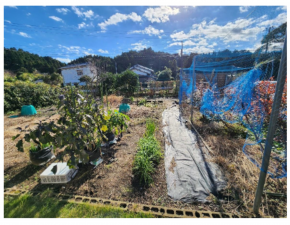 いすみ市岬町、中古一戸建ての画像です