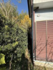 いすみ市岬町、中古一戸建ての外観画像です