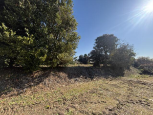 いすみ市作田、土地の外観画像です