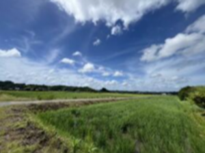 いすみ市深谷、土地の画像です