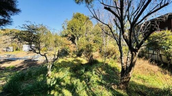 夷隅郡大多喜町横山、土地の画像です