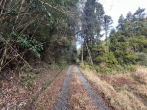 いすみ市山田、土地の画像です