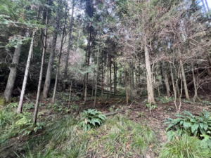 いすみ市山田、土地の画像です