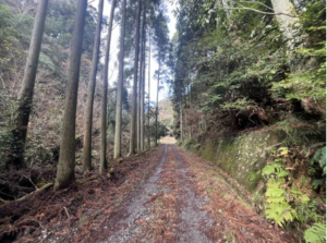 いすみ市山田、土地の画像です