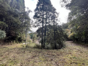 いすみ市山田、土地の画像です