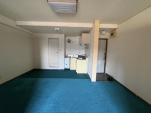 勝浦市墨名、マンションの画像です