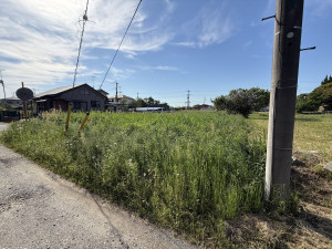 長生郡睦沢町川島、土地の画像です