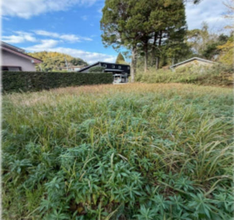 いすみ市岬町、土地の画像です