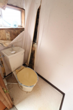 夷隅郡大多喜町新丁、中古一戸建てのトイレ画像です