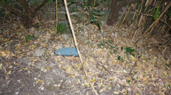 いすみ市岬町、中古一戸建ての画像です