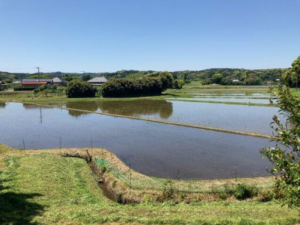 夷隅郡御宿町上布施、中古一戸建ての画像です