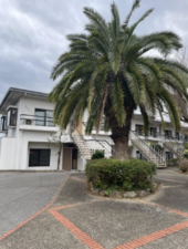 勝浦市松部、マンションの外観画像です