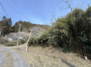 いすみ市山田、土地の画像です