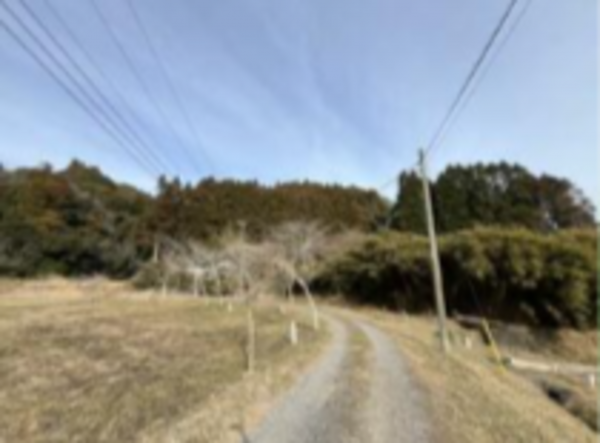 いすみ市山田、土地の画像です